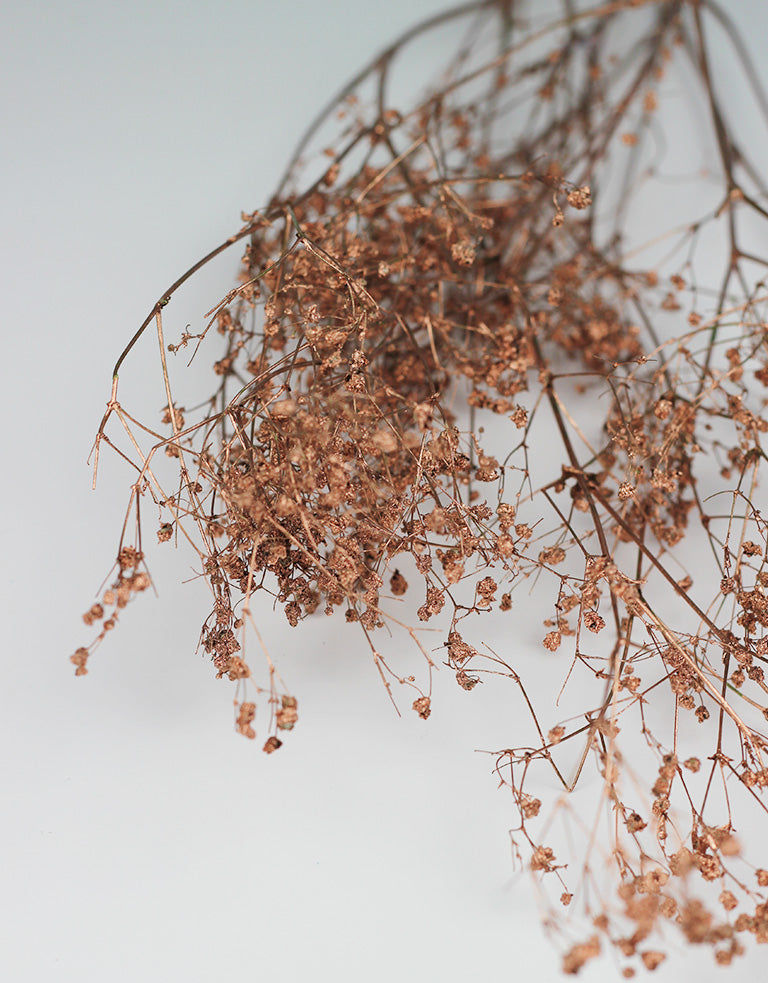 wholesale dried gypsophila