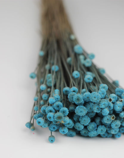 wholesale blue dried flowers