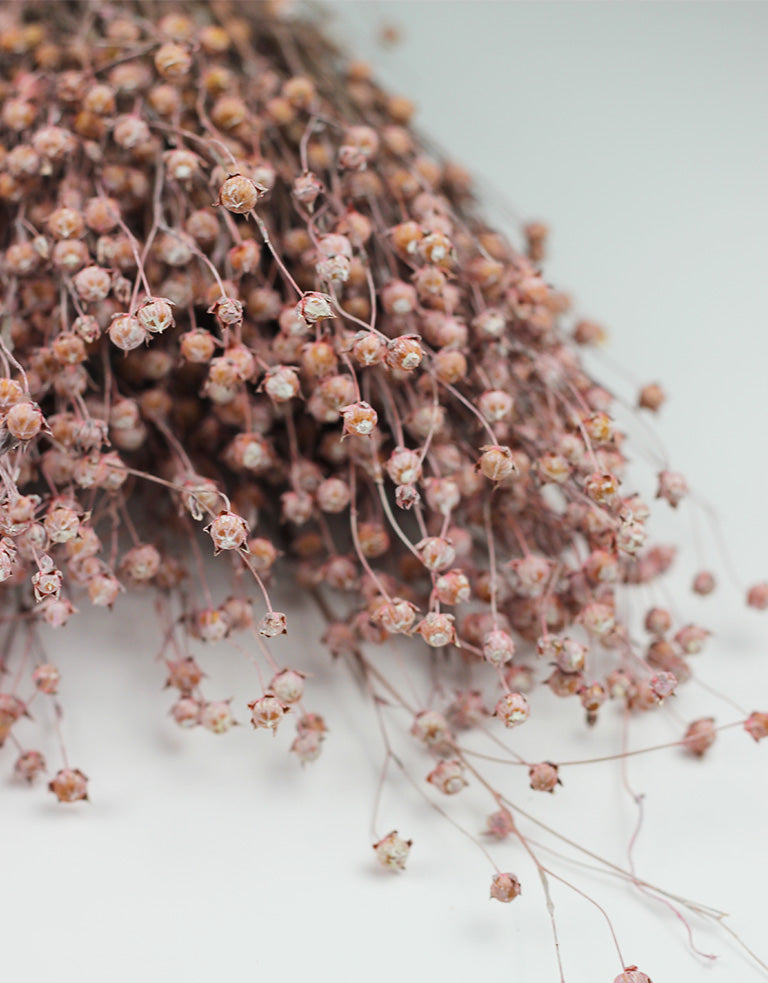 pink dried flowers