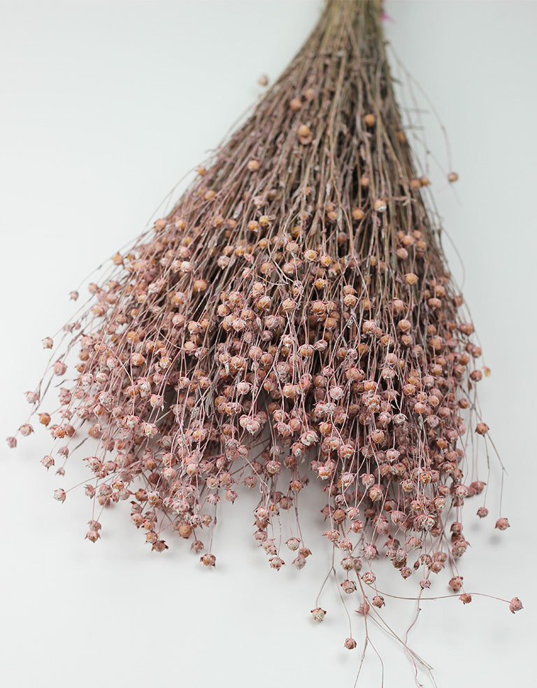 Dried Lino Vlas pink bunch