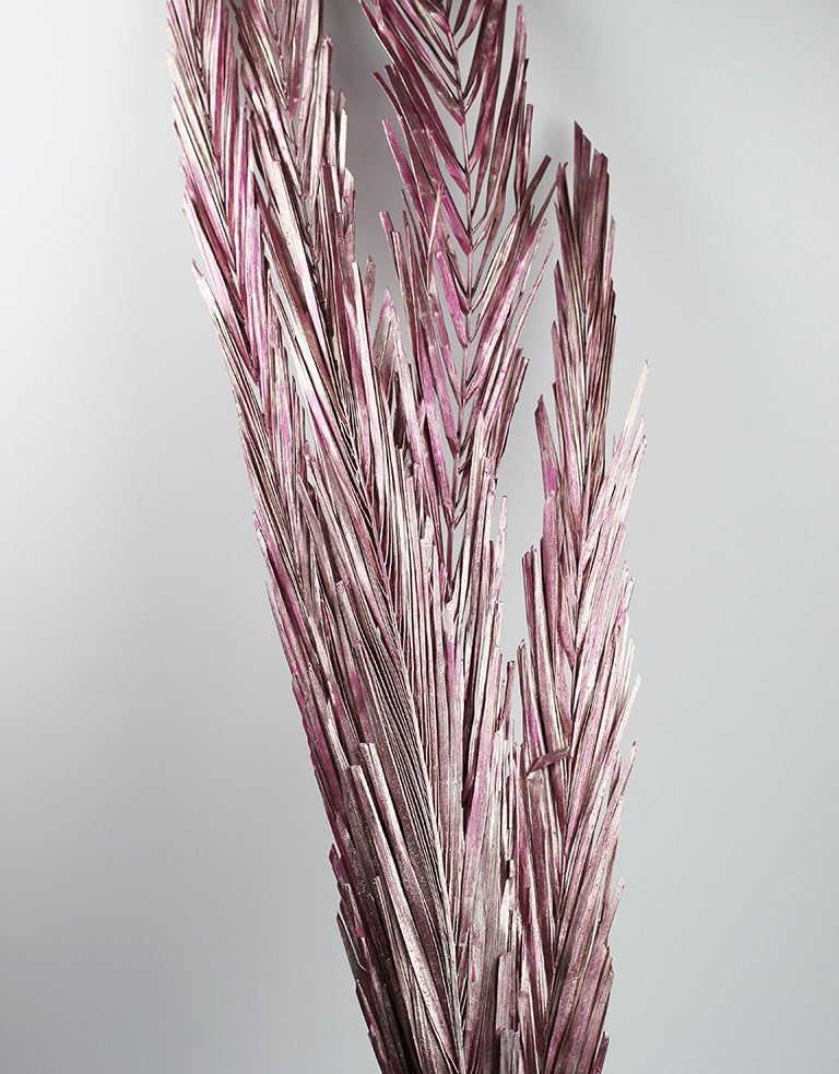 Dried palm Leaf bunch