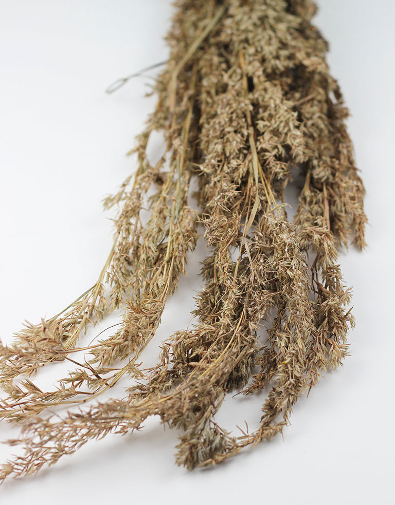 Natural Beta Grass bunch