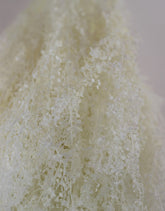 Preserved Thalaspi - Bleached, 5 Stems, 70 cm