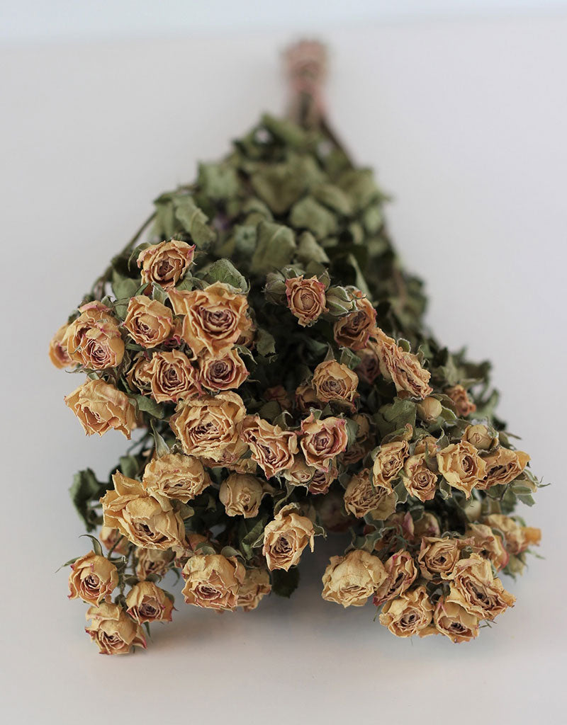Apricot Spray Roses Dried Spray Roses l Apricot/Pink Spray Roses - 50 cm