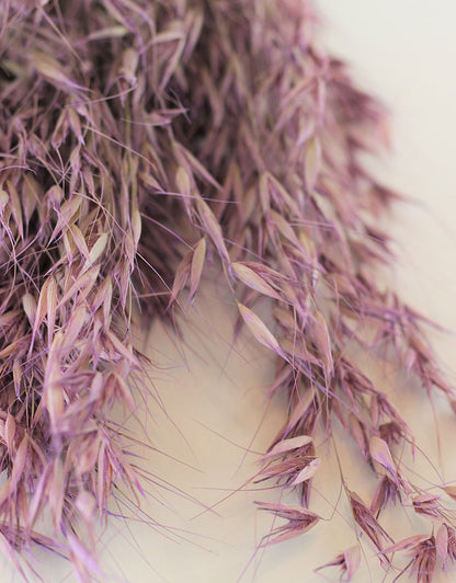 Dried Oat Avena- Lilac Bunch, 125 grams