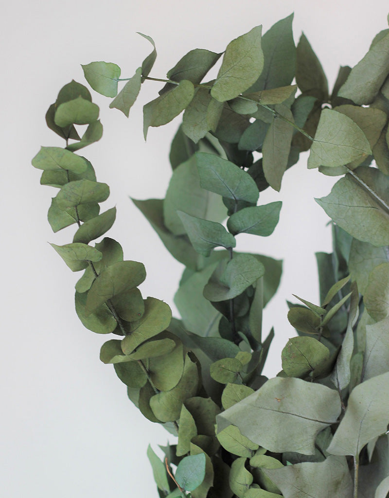 Preserved Eucalyptus - Stuartiana Green Bunch, 70 cm