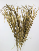 Dried Palm Leaf - Gold