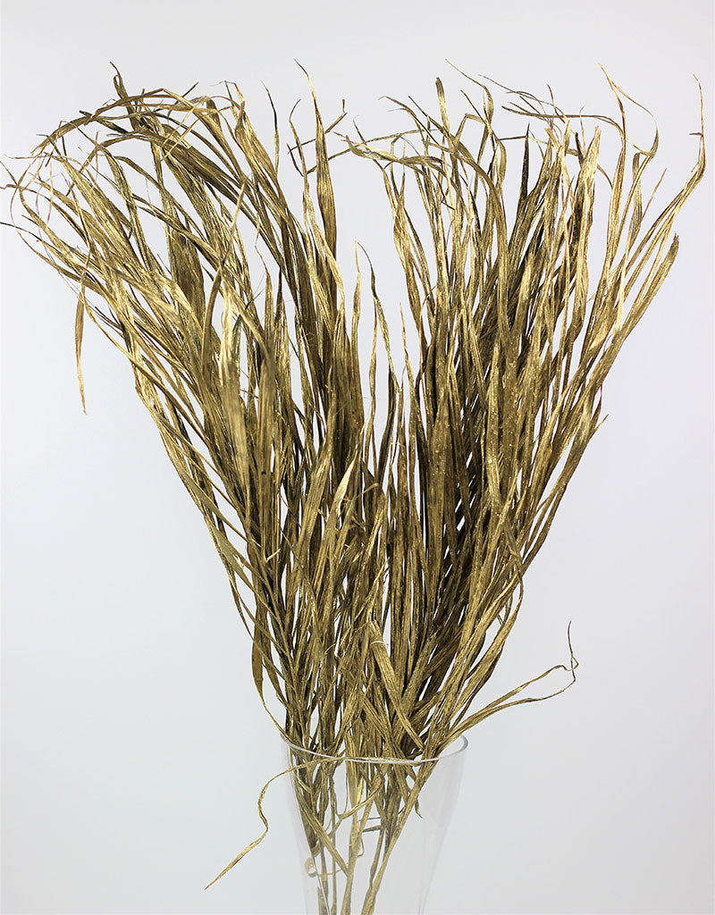 Dried Palm Leaf - Gold