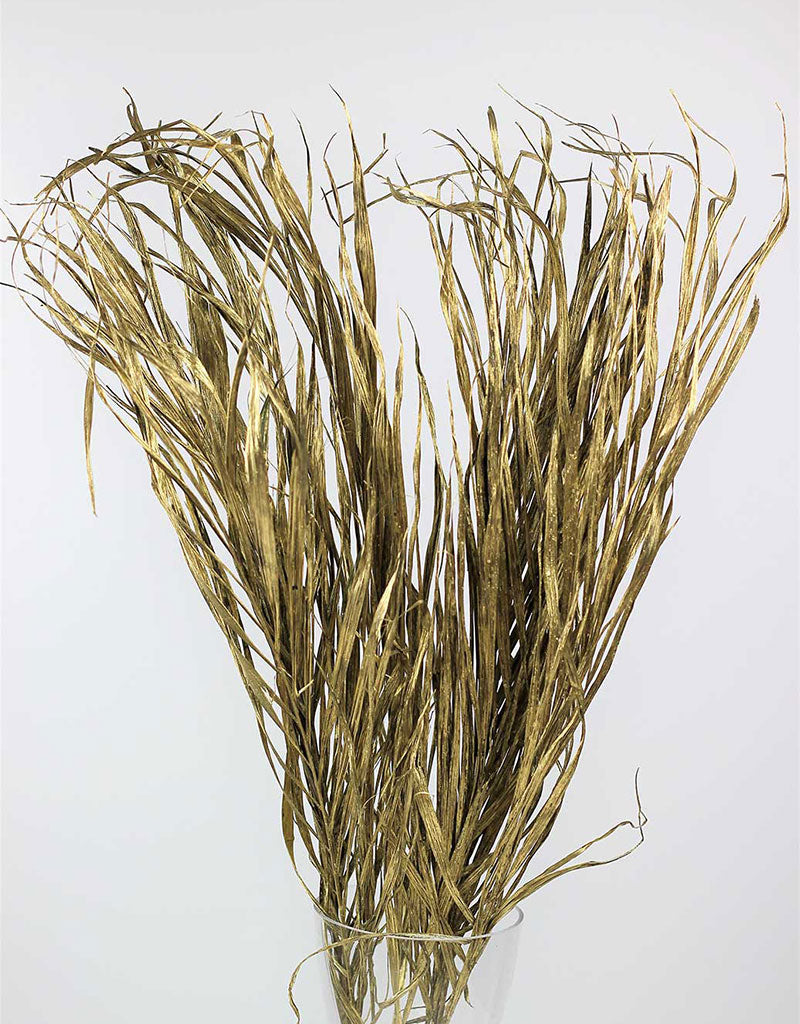 Dried Palm Leaf - Gold, 10 Stems