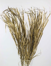 Dried Palm Leaf - Gold, 10 Stems