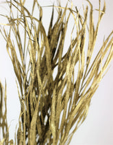 Dried Palm Leaf - Gold, 10 Stems, 70 cm