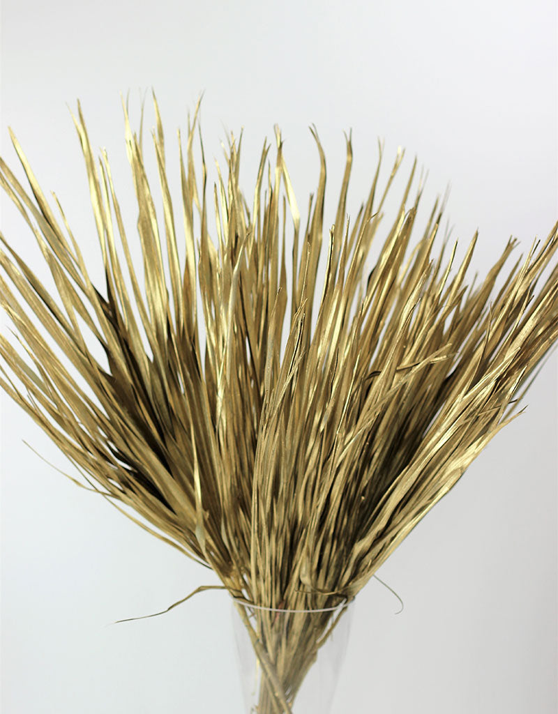 Large Dried Chamaerops Palm - Gold