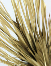 Large Dried Chamaerops Palm - Gold, 10 Stems