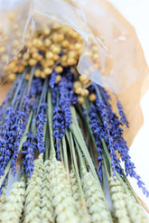 Dried Bouquet - Triticum, Lavender, Lino Vlas Selection