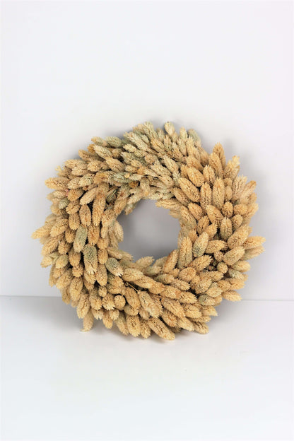 Dried Phalaris Wreath - 30 cm Natural Selection