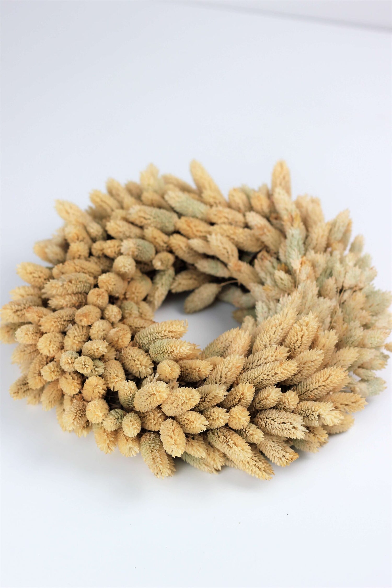 Dried Phalaris Wreath - Natural Selection, 30 cm