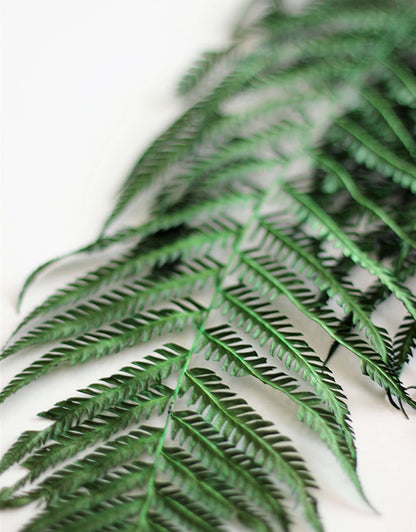 Dried Fern - Forest Green Bunch, 5 stems, 60 cm