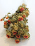 Dried Carthamus - Natural/ Orange Bunch,