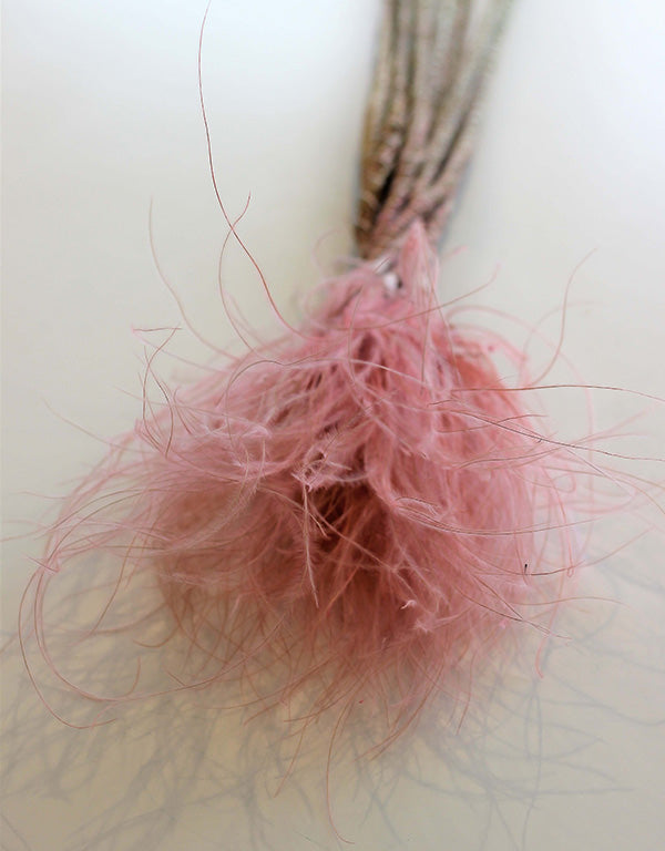 light pink Dried Stypha Pennata
