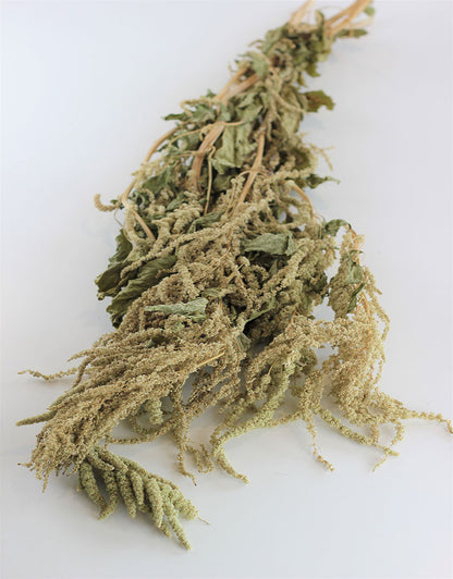 Dried trailing Amaranthus - Green Bunch, 150 grams, 70 cm