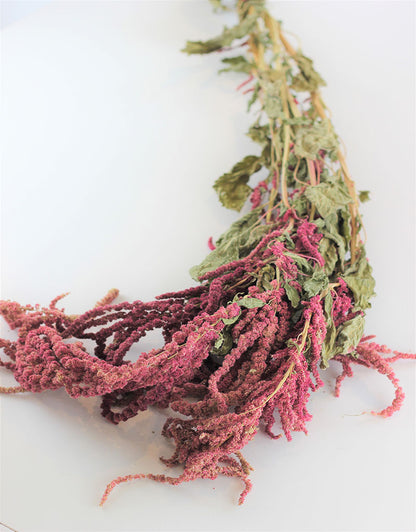 Dried trailing Amaranthus - Red Bunch, 150 grams, 70 cm