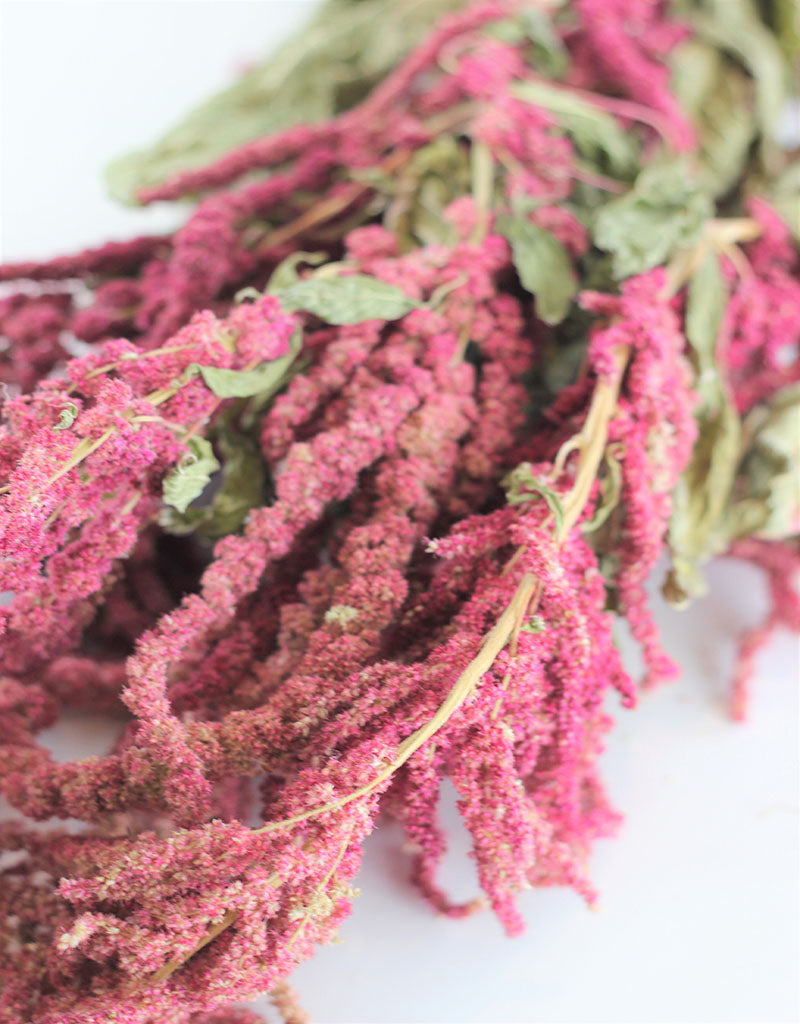 Dried trailing Amaranthus - Red Bunch, 150 grams, 70 cm