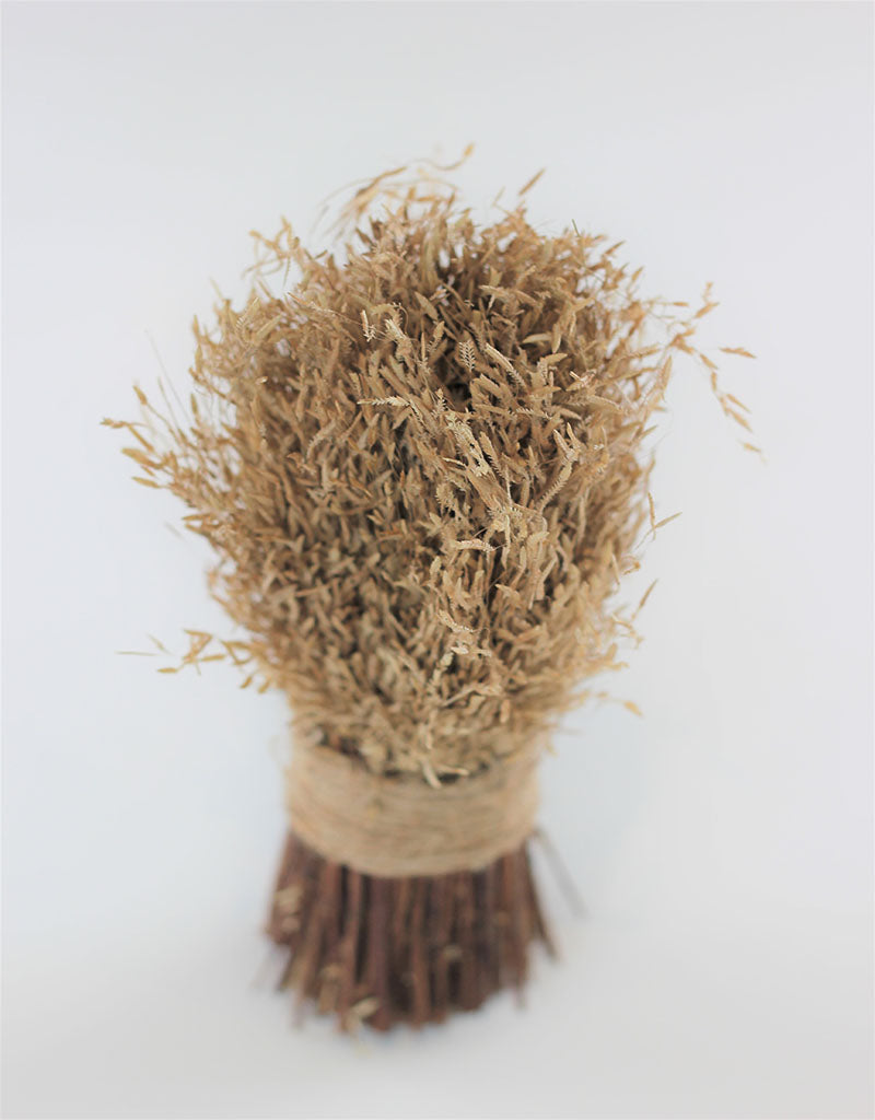 Dried Munni Grass Twig Sheaf - Natural, 20 cm