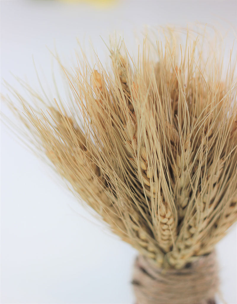 Dried Triticum Twig Sheaf  - Natural, 20 cm