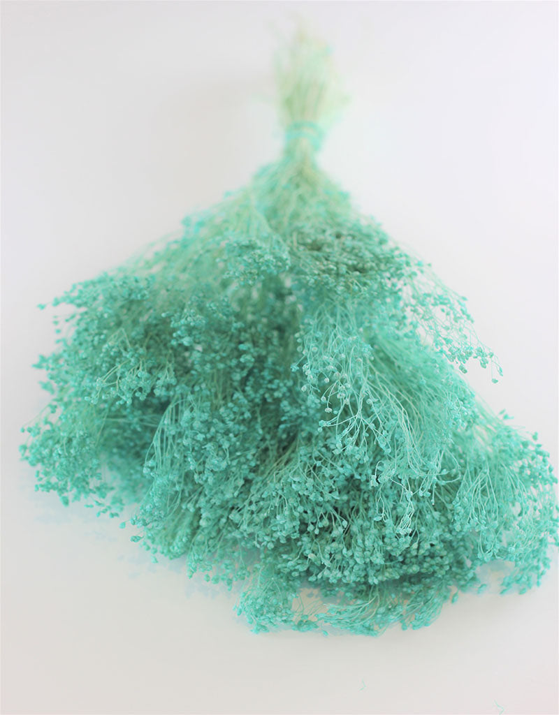 Dried Broom Bloom - Aqua Blue Bunch, 100 grams, 50 cm