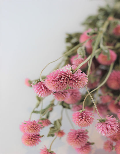 Dried Gomphrena Flowers - Pink Bunch, 55 cm