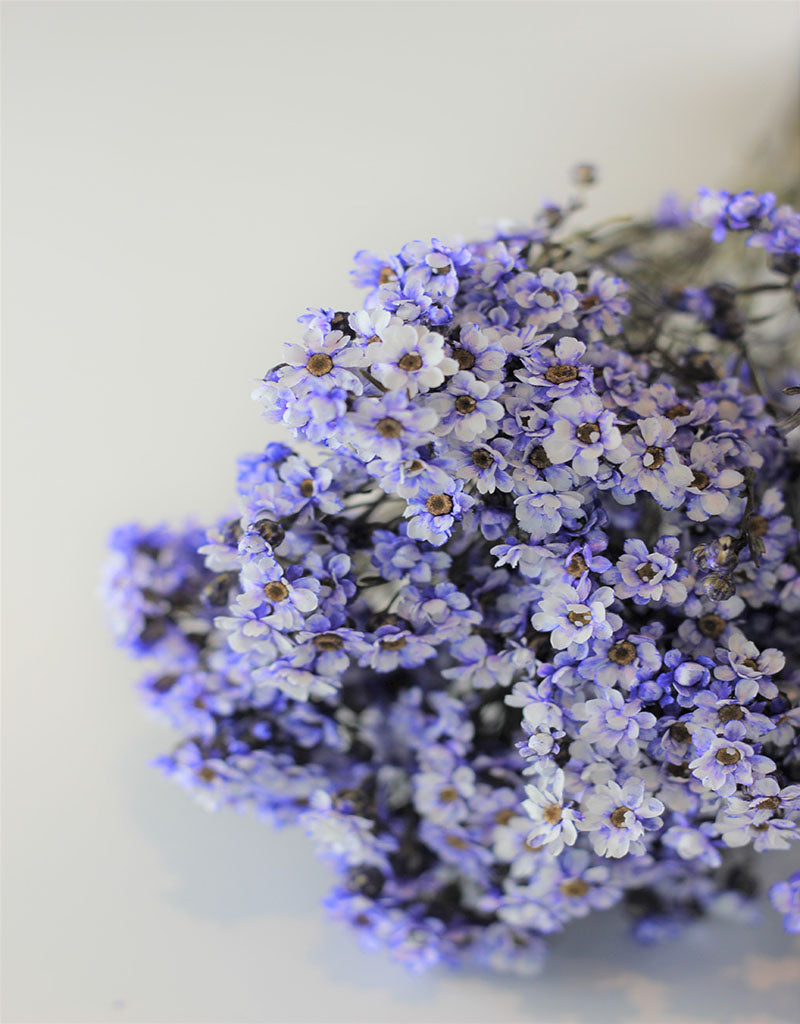 Dried Ixodia - Lilac Bunch, 50 cm