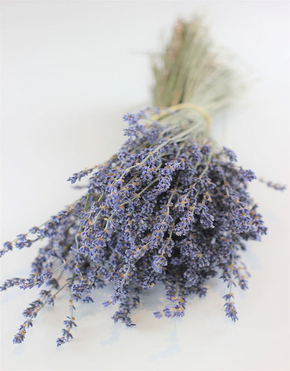 Dried Lavender Flowers Stems - Dark Blue Bunch, 100 grams, 45 cm