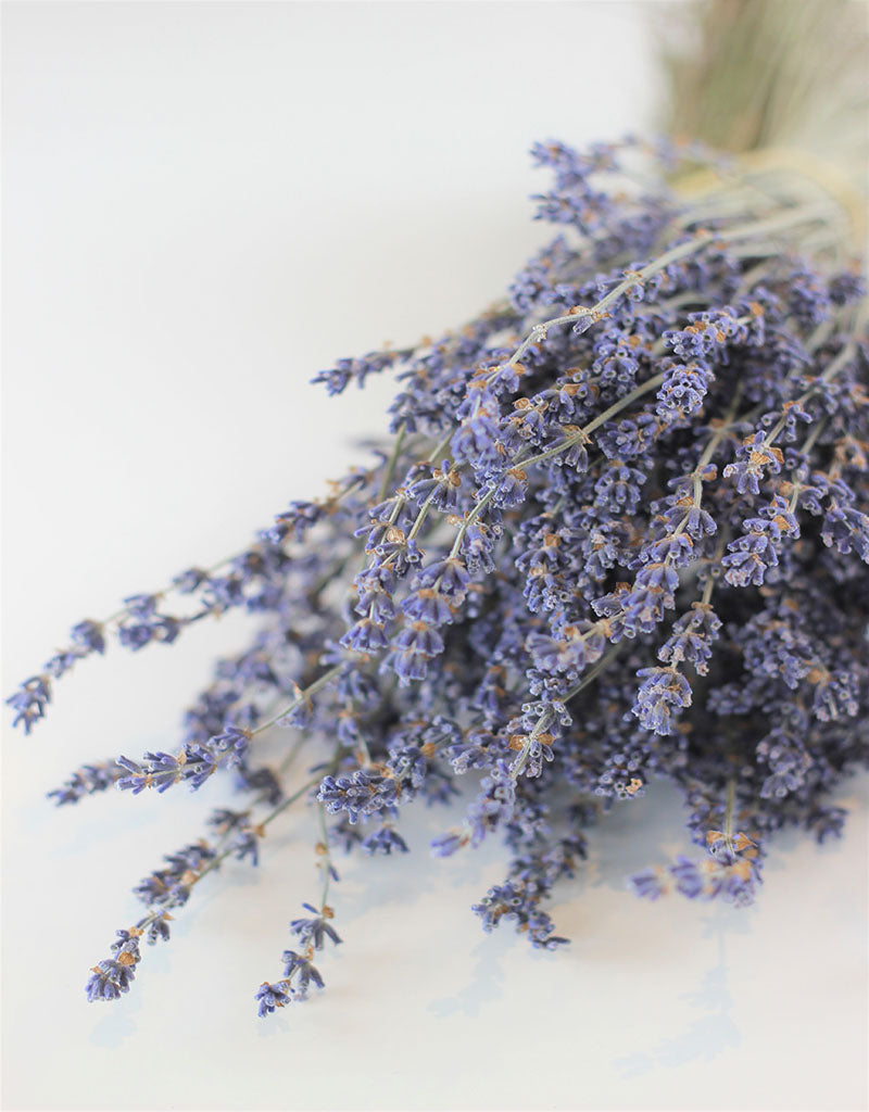 Dried Lavender Flowers Stems - Dark Blue Bunch, 100 grams, 45 cm