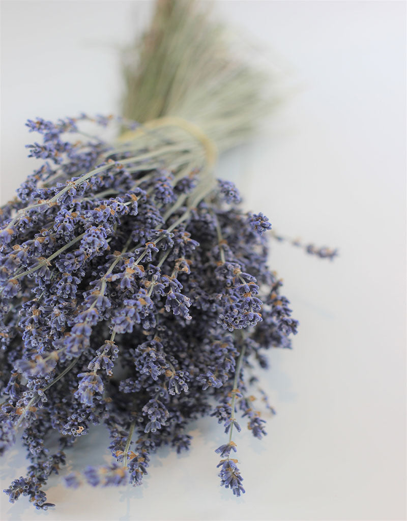 Dried Lavender Flowers Stems - Dark Blue Bunch, 100 grams, 45 cm