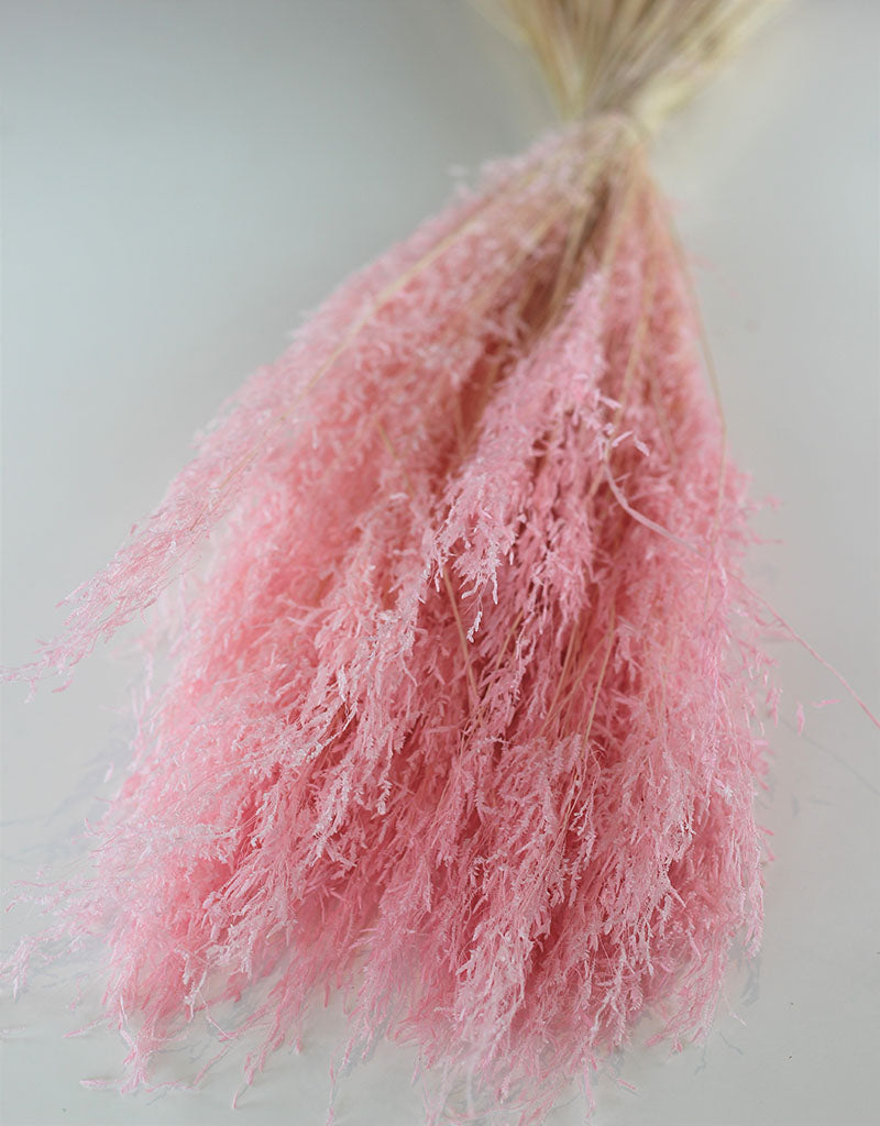 Dried Munni Grass - Baby Pink Bunch, 60 cm