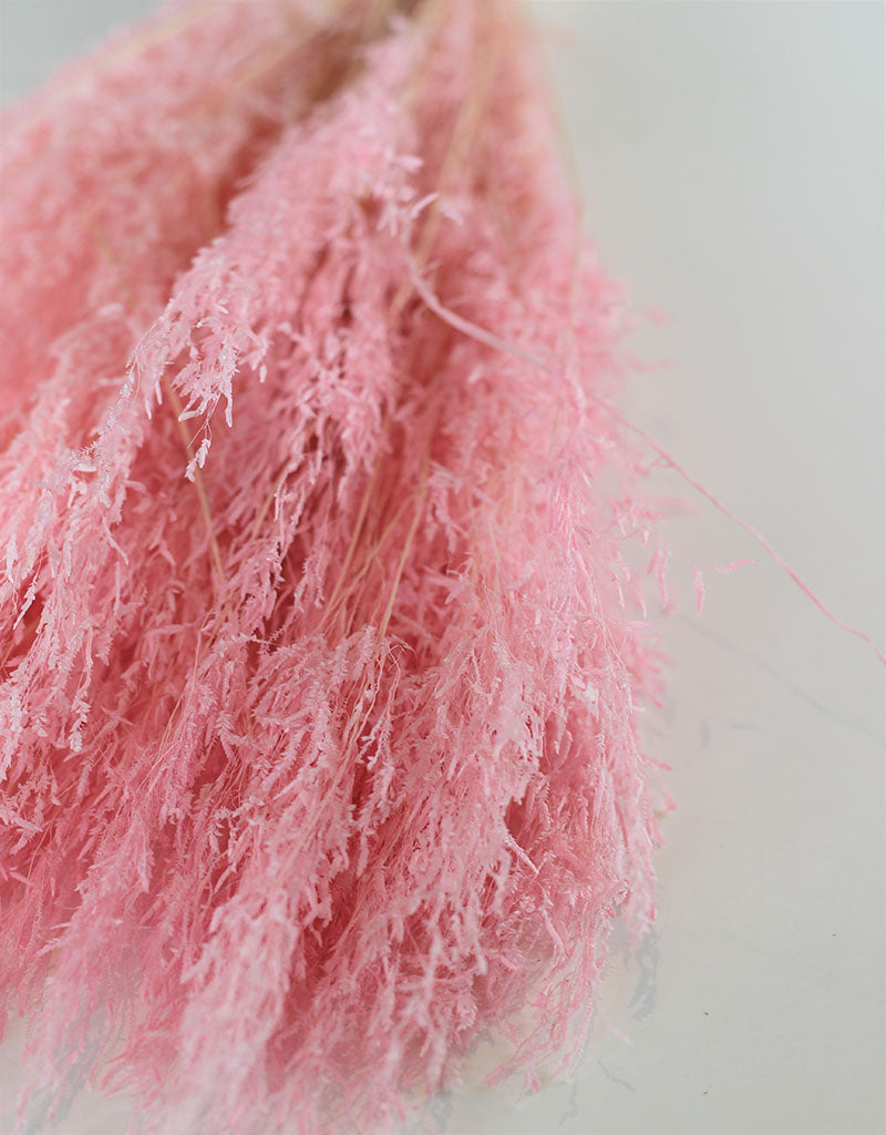 Dried Munni Grass - Baby Pink Bunch, 60 cm