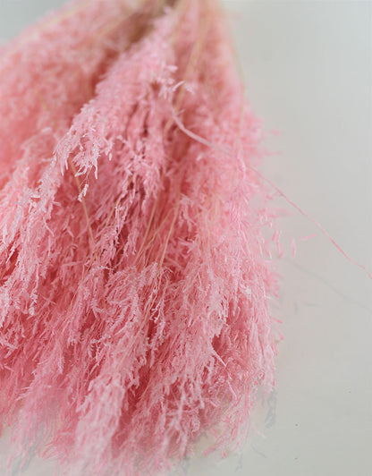 Dried Munni Grass - Baby Pink Bunch, 60 cm