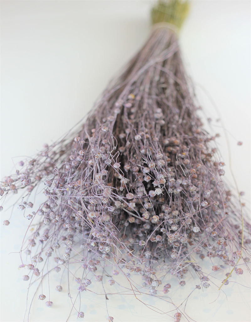 Dried Lino Vlas - Lilac Bunch, 60 cm
