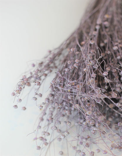Dried Lino Vlas - Lilac Bunch, 60 cm