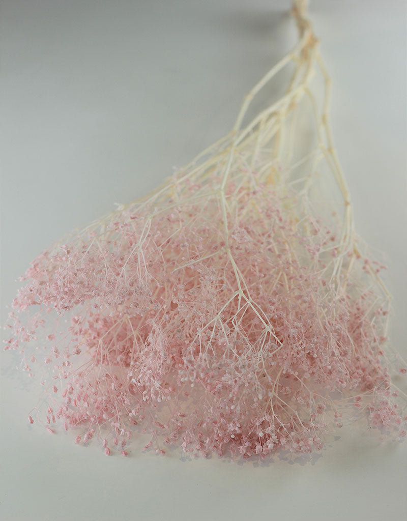 Preserved Gypsophila - Light Pink Bunch, 70 cm