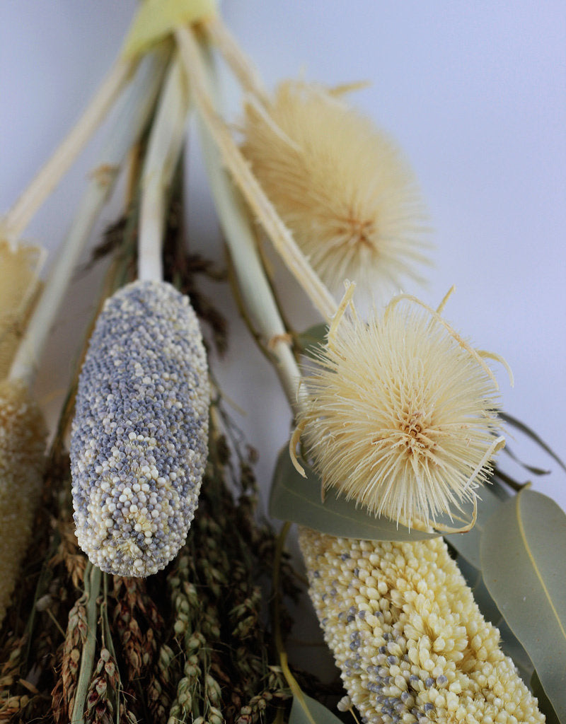 Dried Babala Bouquet - Bleached, 55 cm in UK
