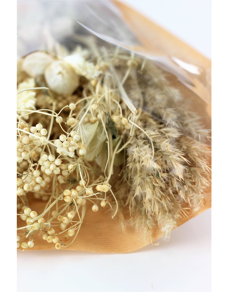 Dried Babala Bouquet - Bleached Large Selection in UK