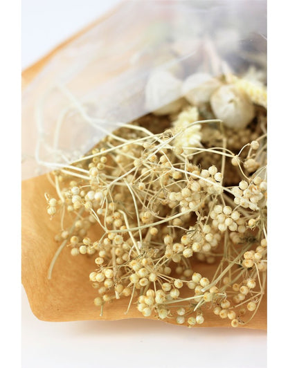 Dried Babala Bouquet - Bleached Large Selection