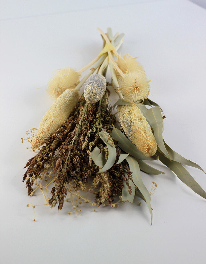Dried Babala Bouquet - Bleached, 55 cm