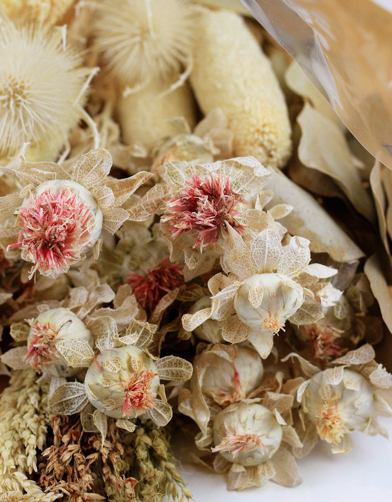 Dried Bouquet with Beached Carth/Thistle in UK