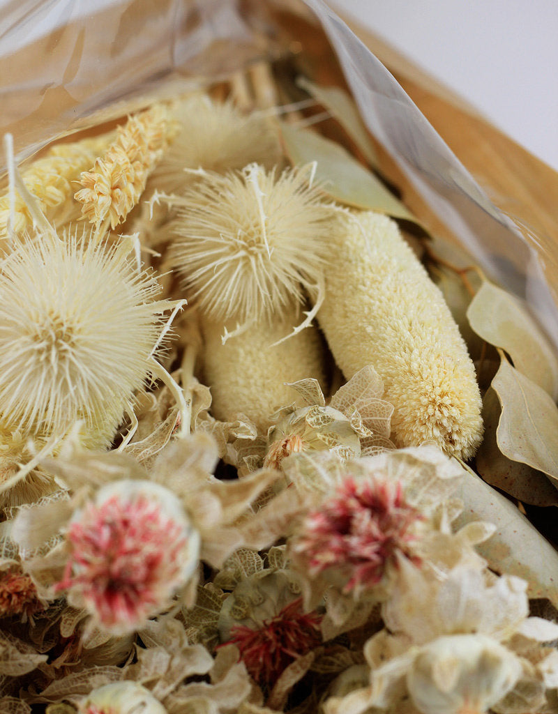 Dried Bouquet with Beached Carth/Thistle
