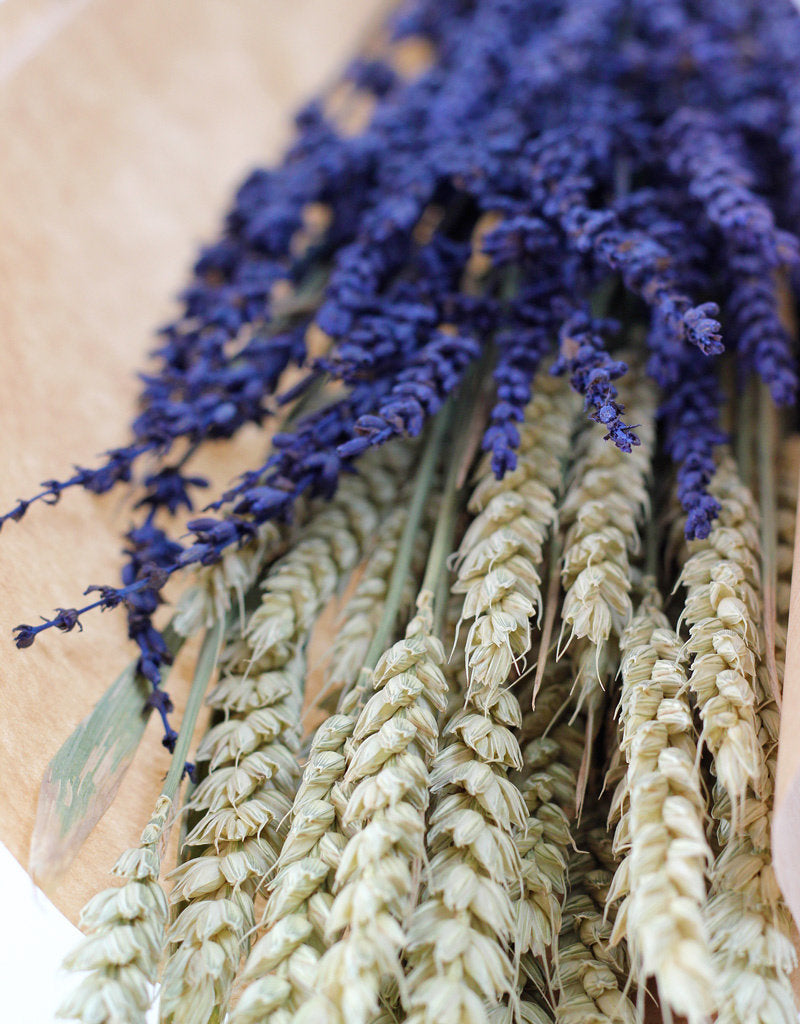 Dried Bouquet - Triticum, Lavender Selection in UK