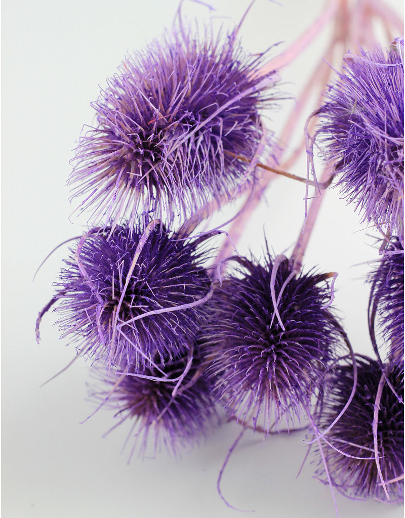 Dried Cardi - Pastel Purple