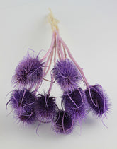 Dried Cardi - Pastel Purple Bunch