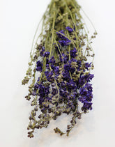 Dried Delphinium Larkspur - Blue Bunch, 70 cm